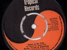 ROOTS TRUNK AND BRANCHES/RHYTHM TRACS Want To Be Free/Freedom Rock 7 INCH VINYL