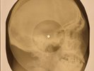 Doors - Riders on the Storm X-RAY SKULL BONES RECORDS USSR 249