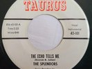 DOO WOP 45  2 SIDER by THE SPLENDORS HEAR BOTH