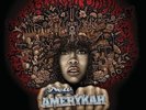 Erykah Badu - New Amerykah Part One (4th World War) [New Vinyl LP] Colored Vinyl