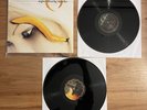 Perfect Circle Thirteenth Step Vinyl LP Record