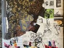 Animal Collective Autographed Time Skiffs Red Translucent Ruby Signed Vinyl LP