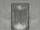 PAYSAGE D'HIVER - Im Wald - Vinyl (4xLP box set + booklet + poster)