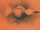 PAPWORTH, Keith - Hard Hitter - Vinyl (LP)