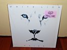 WHITE LION Lp 