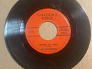 HEAR  RARE VG PSYCH GARAGE FUZZ 45 Distortions Smokestack Lightning MALCOLM Z
