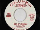 Garage 45 - The Most - Sea Of Misery - Columbia - VG+ mp3