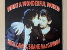 Nick Cave & Shane MacGowan – What A Wonderful World - 7