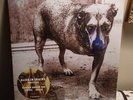 ALICE IN CHAINS - SELF TITLED 3 LEGGED DOG GREEN COLORED *SEALED*  LP