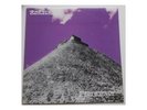 Rorschach – Protestant - LP - 1st Press