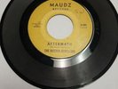45 Record Rare The Butter Rebellion Aftermath/I cannot Turn Around VG