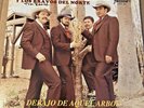 Ramon Ayala Y Los Bravos Del Norte Debajo De Aquel Arbol 33rpm Vinyl Record