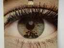 1968 MONO  2nd Lp by THE 