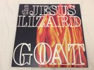JESUS LIZARD 