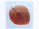 PETE JOLLY -Seasons Vinyl Record LP Original Pressing 1970  VG+ SP3065-P1