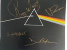 pink floyd dark side of the moon lp signed cover only