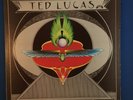 TED LUCAS Self 1975 vinyl LP VPI CLEAN INSERT LONER STONER ACID Folk PSYCH EX/VG