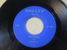 THE DREAMERS SHOT-GUN VALLEY 7350 45 RPM HIGHER GRADE GARAGE ROCK SURF RARE