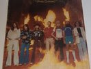 Lynyrd Skynyrd Street Survivors Vinyl MCA Records MCA-3029 1977 BANNED COVER VG+