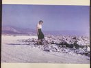 PINBACK Blue Screen Life Vinyl 2003 Limited Edition LP Indie Rock Ace Fu