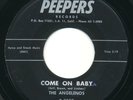 ANGELENOS - Come On Baby / Hully Gully- PEEPERS- Obscure LA Doo Wop Soul 45