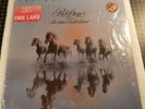 Bob Seger and the Silver Bullet Band - Against The Wind - Vinyl LP - 1980