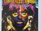 DAVID LEE ROTH -SONRISA SALVAGE- RARE PROMO LP  - Van Halen - Eat 'Em And Smile