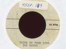 Garage 45 - The Raves - Mister Man / Mother Nature Acetate HEAR