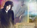 The Waterboys - An Appointment with Mr Yeats NEW Sealed Vinyl LP Album