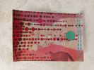 ELVIS COSTELLO 1978 Polish postcard flexi disc Lip Service 14x10 cm (6x4 inches)