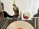 Dave Hause Devour  2x LP Brown / Cream Color Vinyl Loved Ones