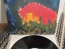 MEAT PUPPETS II Vinyl Original SST Pressing LP  w/ Inner Sleeve