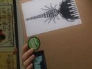 King Gizzard and the Lizzard Wizard Record 