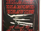 BLACK DIAMOND HEAVIES - A TOUCH OF SOMEONE ELSE'S CLASS LP VINYL RED FREE P&P UK
