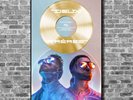 Disque d'or PNL Deux frères