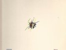 The Pretty Things - Cross Talk - Used Vinyl Record - B5660A