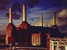 PINK FLOYD: ANIMALS (180gm UK Import)(Rhino2016)