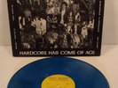 Message From America Hardcore Has Come Of Age -COMP- MENTAL ABUSE/AGNOSTIC FRONT
