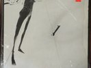 SCRATCH ACID Scratch Acid RABID CAT EP 1984 NM LP shrink wrap with lyrics insert