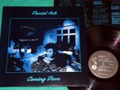 Daniel Ash - Coming Down BRAZIL 1st press LP 1991 Bauhaus Tones On Tail