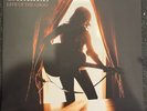 Brandi Carlile 