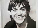 Iggy Pop Lust For Life LP Vinyl Album 2017 Remaster Reissue Stooges David Bowie