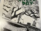 GREEN DAY 39 / Smooth 1990 LOOKOUT #22 Berkeley 90's Press SEALED Vinyl LP Punk