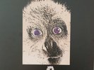 E.A. Poe - Generazioni reissue ITA ancora sigillato vinile lp