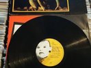 RUTS DC - ANIMAL NOW - ORIGINAL UK VINYL - VIRGIN 1981 - NEAR MINT