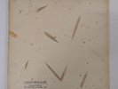 (LP) Greenwillow - OST Cast / Limited Edition / No. 257 / VG+/VG+