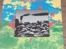 Misty In Roots Earth UK People Unite Reggae Vinyl LP,  1st Pressing A1, B1