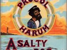 PROCOL HARUM A Salty Dog LP VINYL UK Regal Zonophone 1969 10 Track Vinyl LP