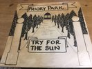 Priory Park - Try For The Sun LP 1970s Rare Vinyl Folk  VG+  wild dog private