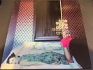The Goo Goo Dolls - Dizzy Up The Girl Vinyl - Hot Pink - RARE